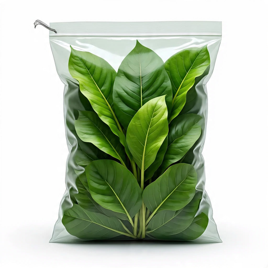 Super Food Herb Worm Food Quart – Dried Plantain Leaves