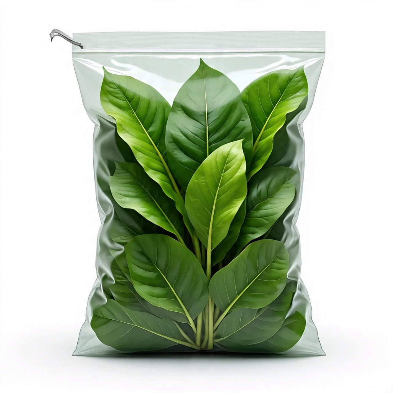 Super Food Herb Worm Food Quart – Dried Plantain Leaves