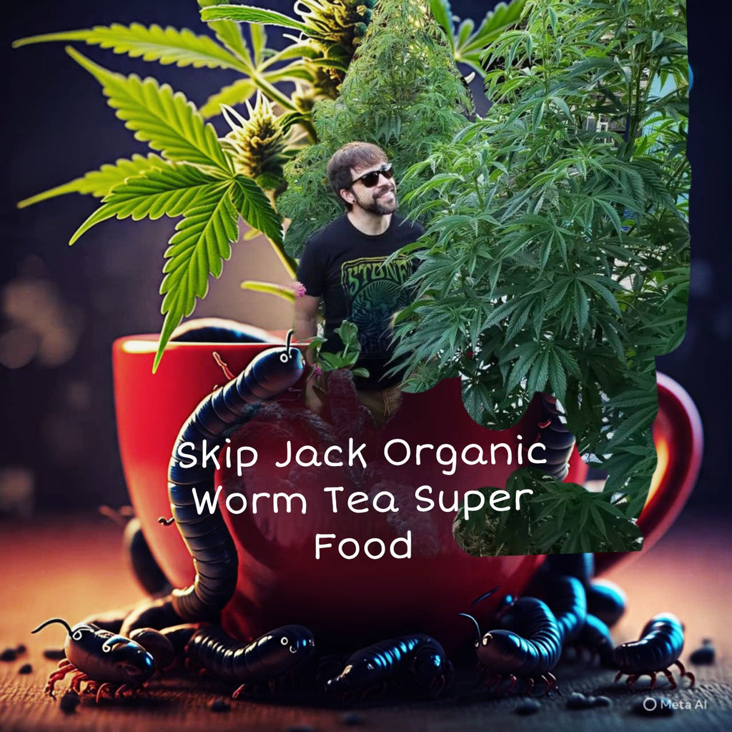 A man playfully standing in oversized cup filled with Red Wiggler  Tea, surrounded by mature, healthy cannabis plants benefiting from the nutrient-rich  liquid fertilizer