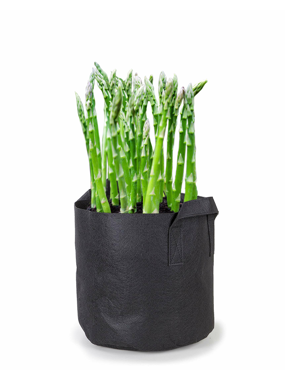 fabric felted grow bags, durable, long lasting , aerated so roots can breath, easy to store, ideal for any garden plant, super for cannabis gardens, just fill with soil no digging in the hrd soil.